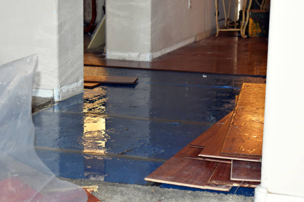 Professional Water Extraction technician working in Louise, TX